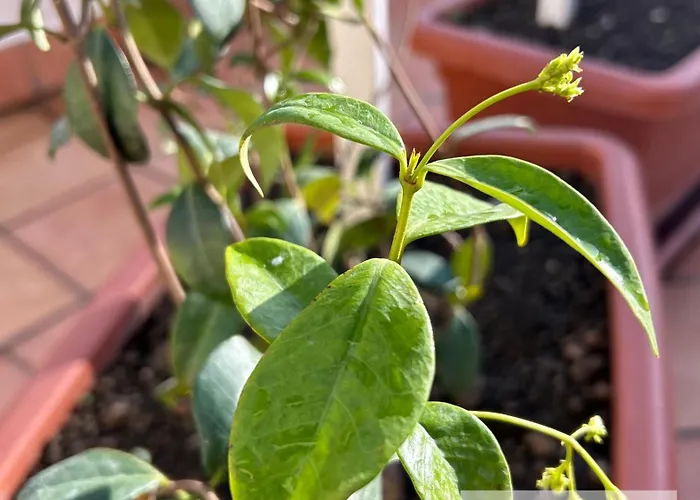 La Terrazza Apartamento Castellammare di Stabia